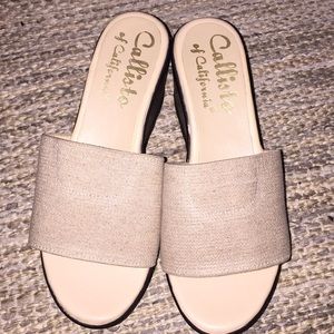 Callisto platform wedges